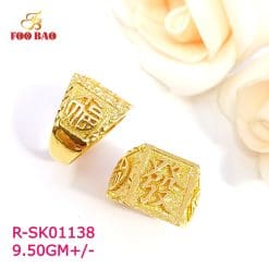 R-SK01138