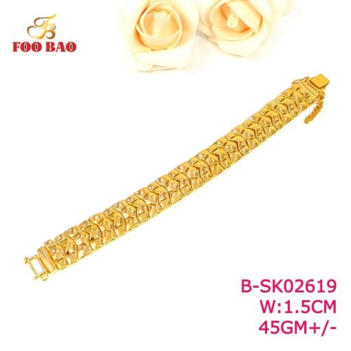 B-SK02619