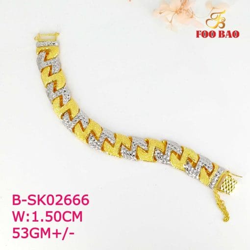 B-SK02666