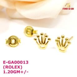 E-GA00013