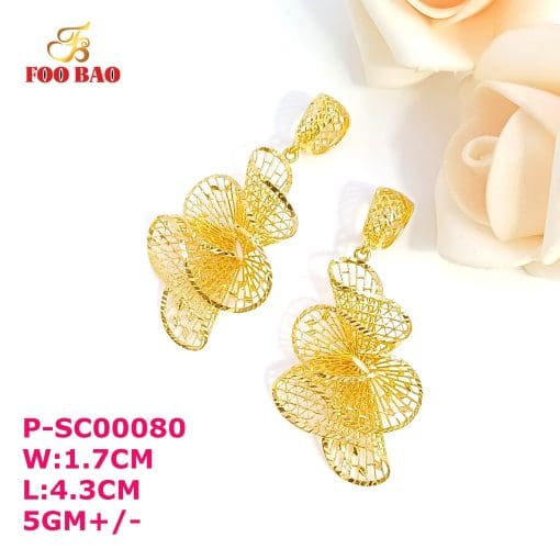 P-SC00080