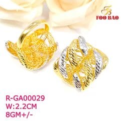 R-GA00029