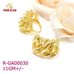 R-GA00030