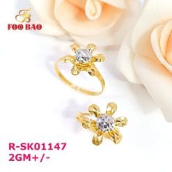 R-SK01147