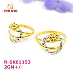 R-SK01153