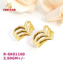 R-SK01160