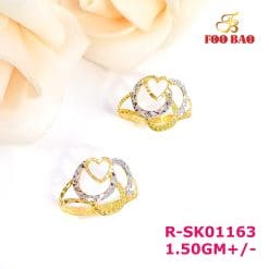 R-SK01163
