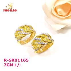 R-SK01165