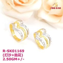 R-SK01169