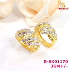 R-SK01170