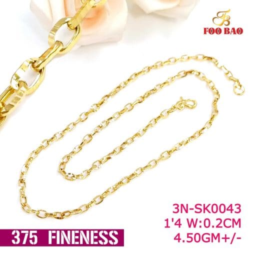 3N-SK0043