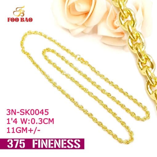 3N-SK0045