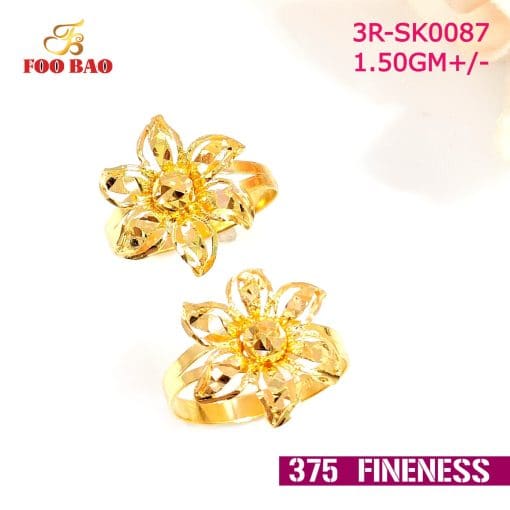 3R-SK0087