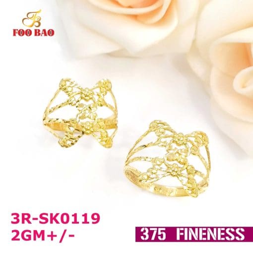 3R-SK0119