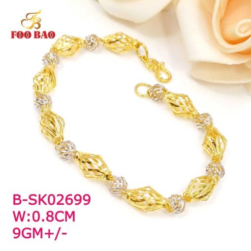 B-SK02699