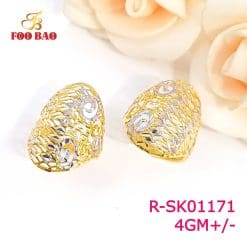 R-SK01171