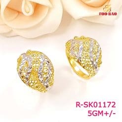 R-SK01172