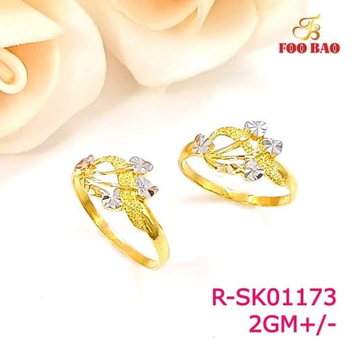 R-SK01173