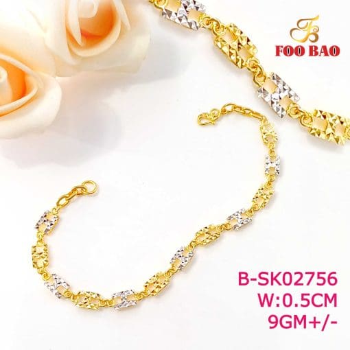 B-SK02756