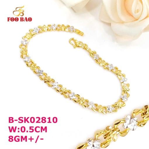 B-SK02810