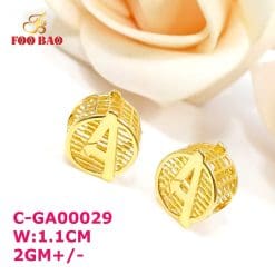 C-GA00029