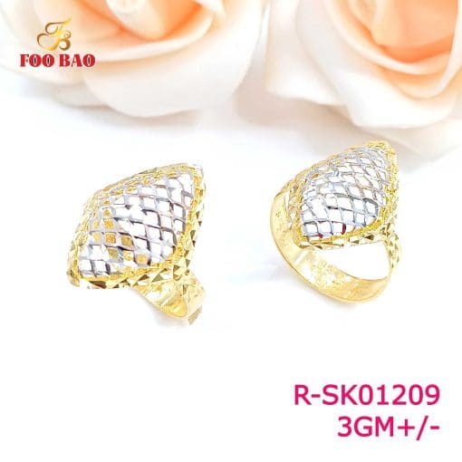 R-SK01209
