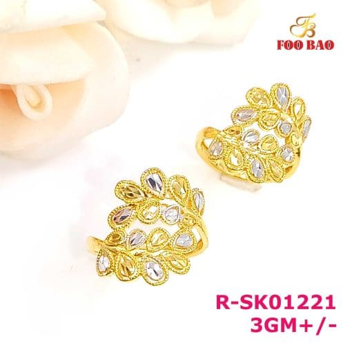 R-SK01221