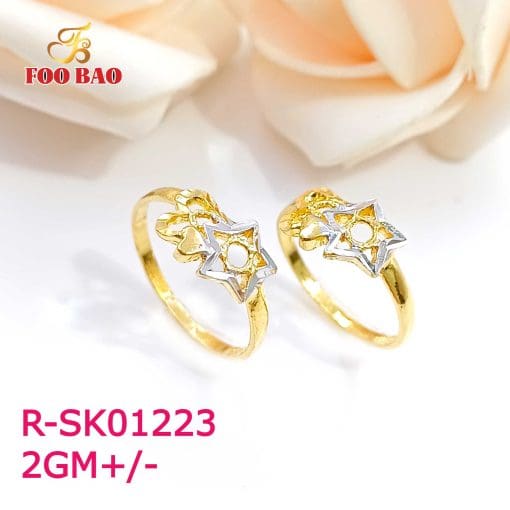 R-SK01223