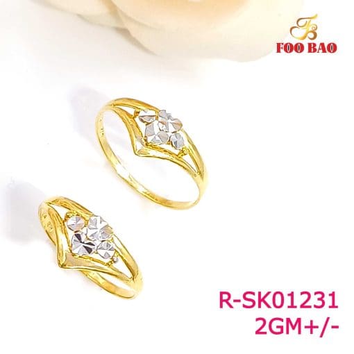 R-SK01231