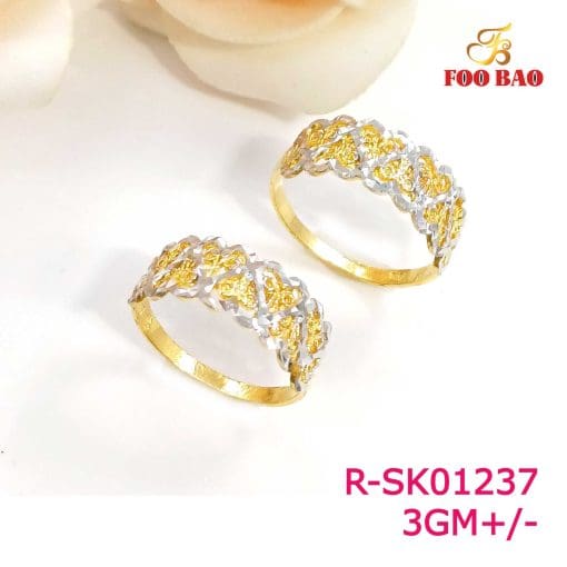 R-SK01237