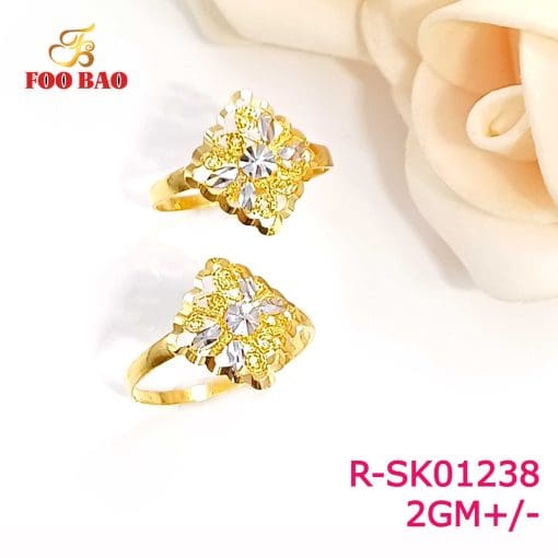 R-SK01238