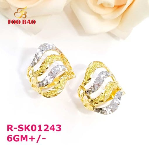 R-SK01243