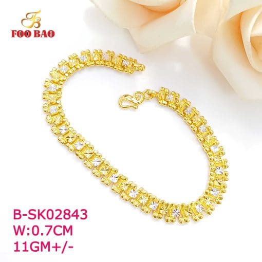 B-SK02843