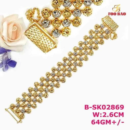 B-SK02869